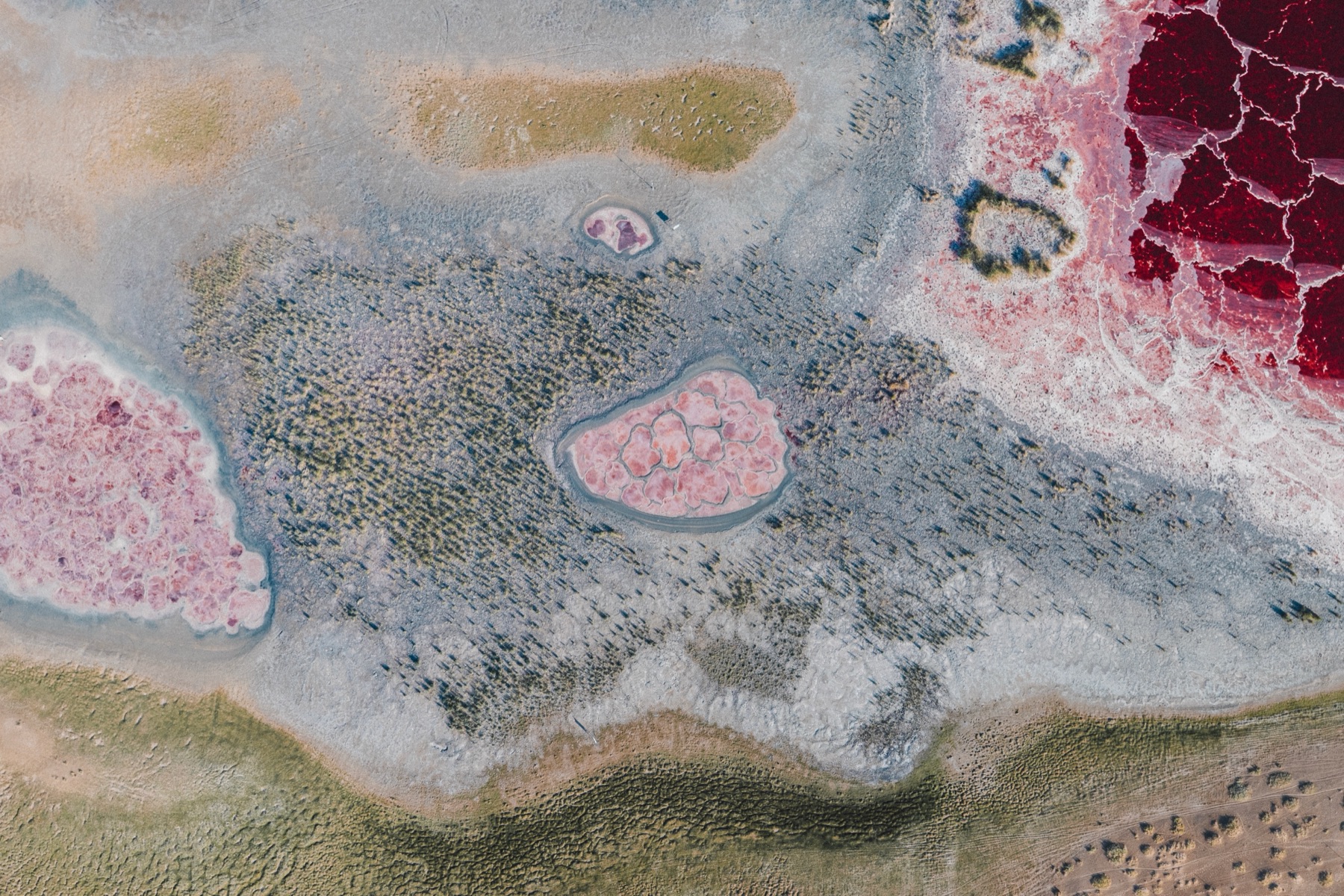 DJI_20260809182747_0087_D