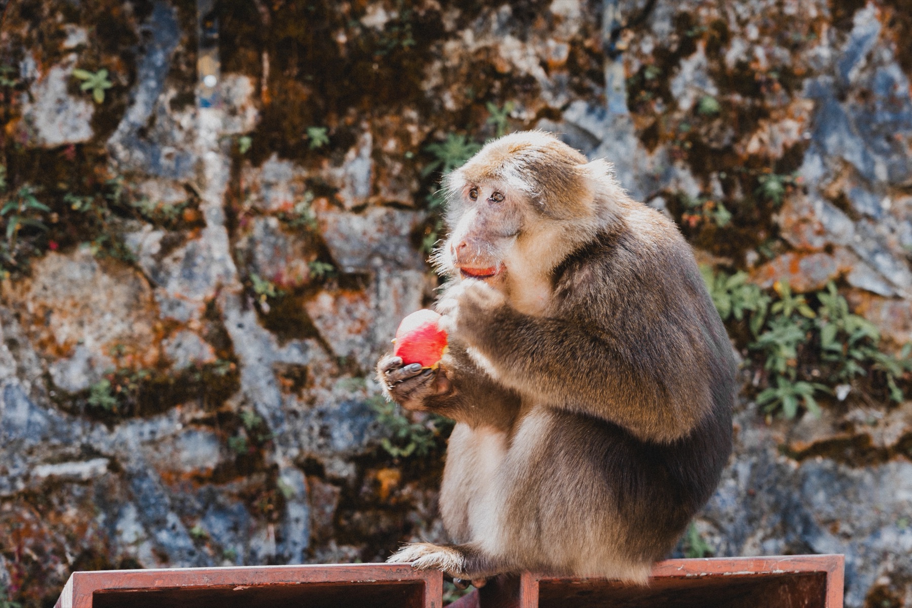 DSC04362